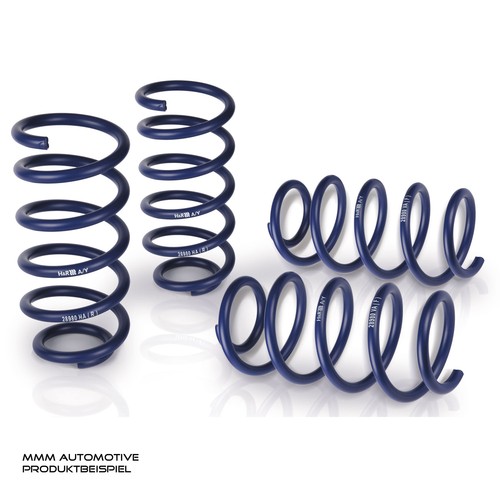 Lowering springs 25 20mm - h&r, 25/20mm